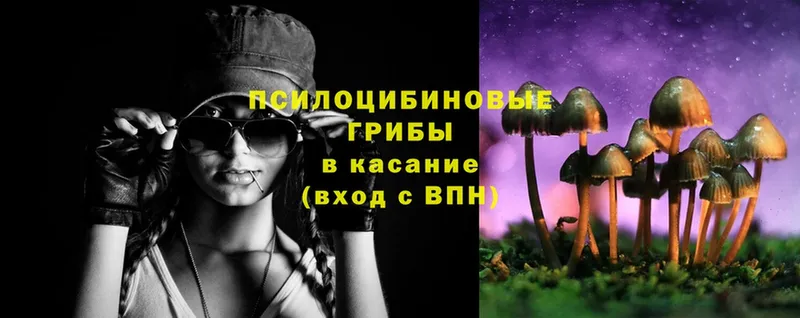 сайты даркнета формула  Артёмовск  Псилоцибиновые грибы Psilocybe 